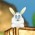Forest Mayhem online game